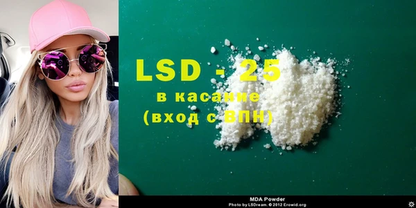 гашик Алексин
