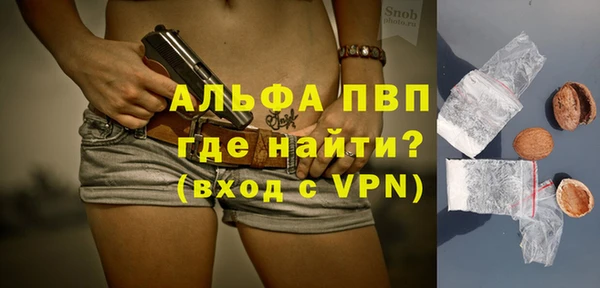 гашик Алексин