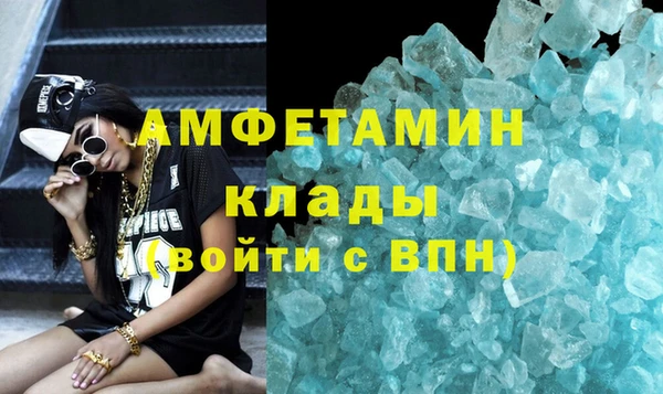гашик Алексин