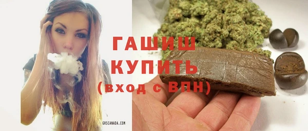 гашик Алексин