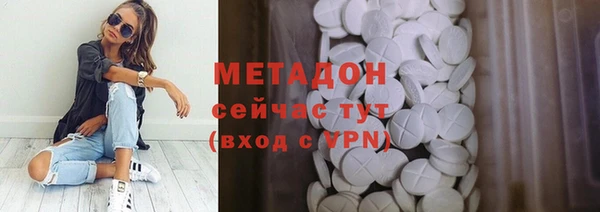 гашик Алексин
