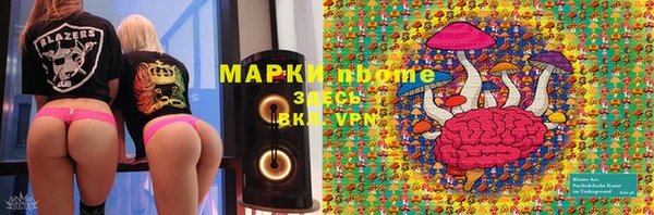 гашик Алексин