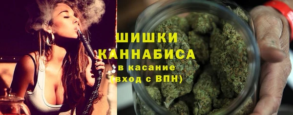 стаф Липки